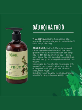 DẦU GỘI THẢO DƯỢC HÀ THỦ Ô, GỘI - XẢ 2IN1, HỖ TRỢ LÀM ĐEN TÓC, LÀM SẠCH DA ĐẦU HIỆU QUẢ 300G